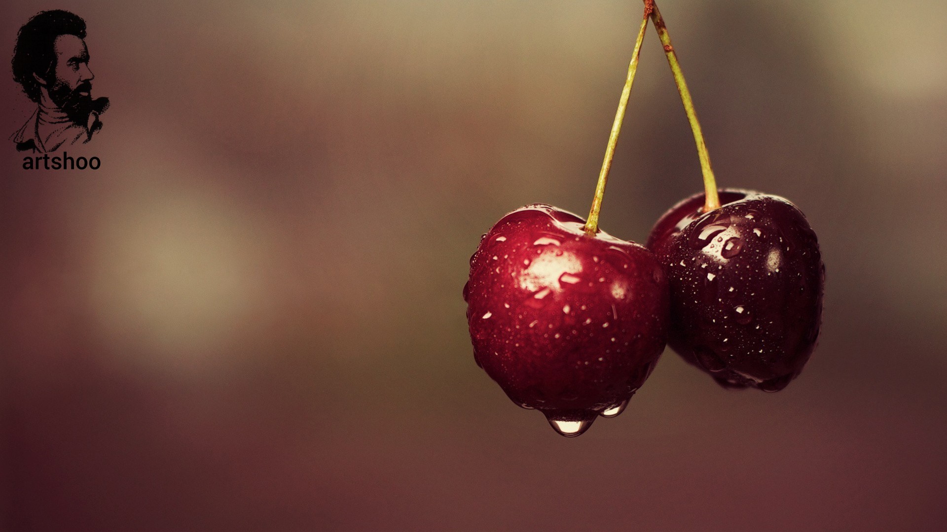 مدل رنگ روغن آب اورژینال